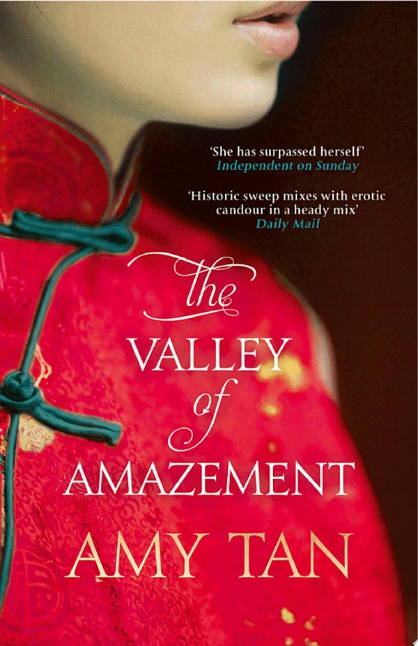Cover of THE VALLEY OF AMAZEMENT