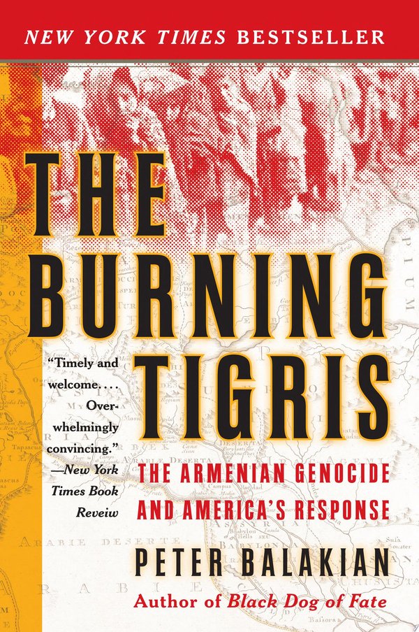 Cover of THE BURNING TIGRIS