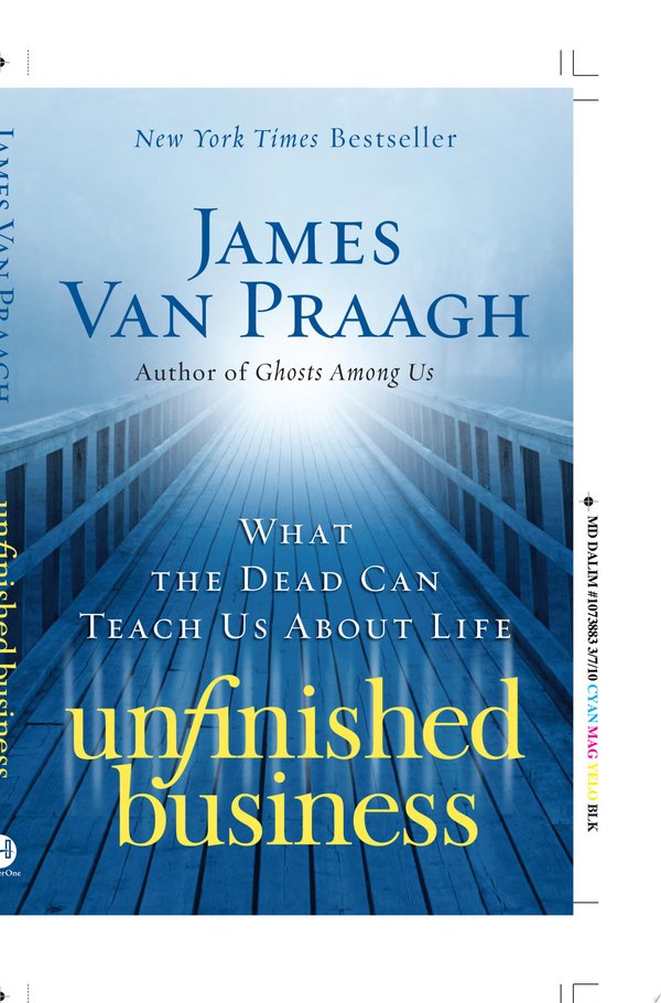 Cover of UNFINISHED BUSINESS