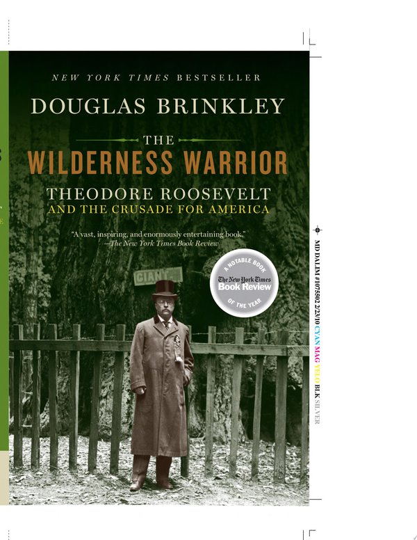 Cover of THE WILDERNESS WARRIOR