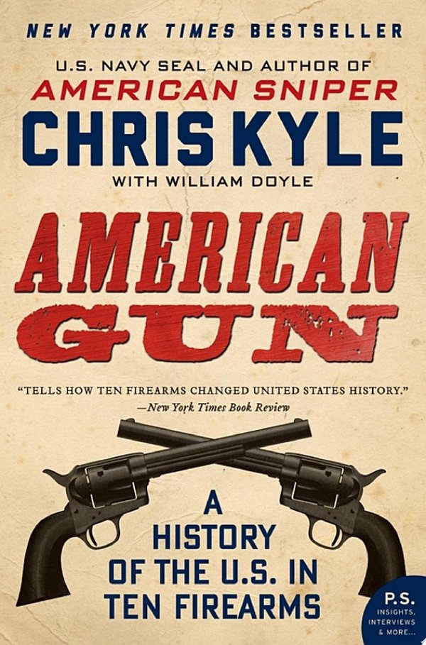 Cover of AMERICAN GUN