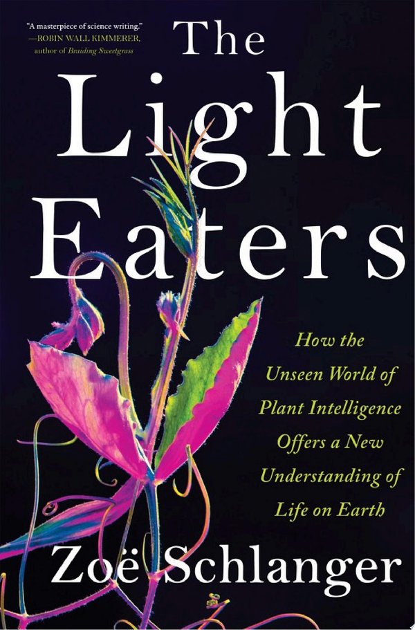 Cover of THE LIGHT EATERS