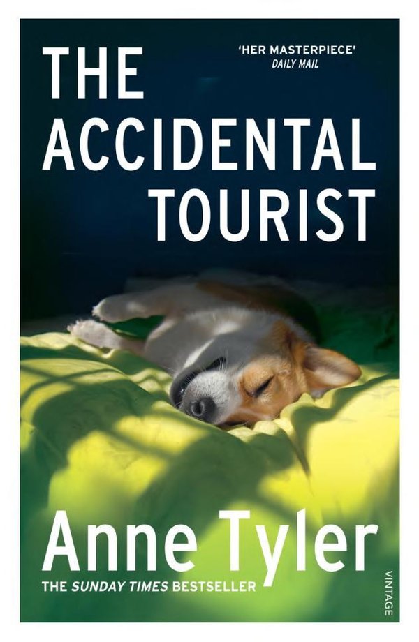 Cover of THE ACCIDENTAL TOURIST