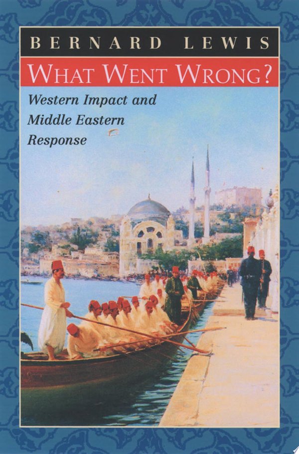 Cover of WHAT WENT WRONG?
