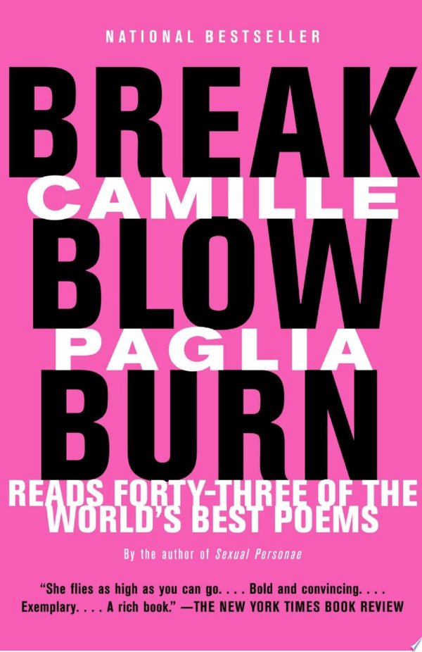 Cover of BREAK, BLOW, BURN