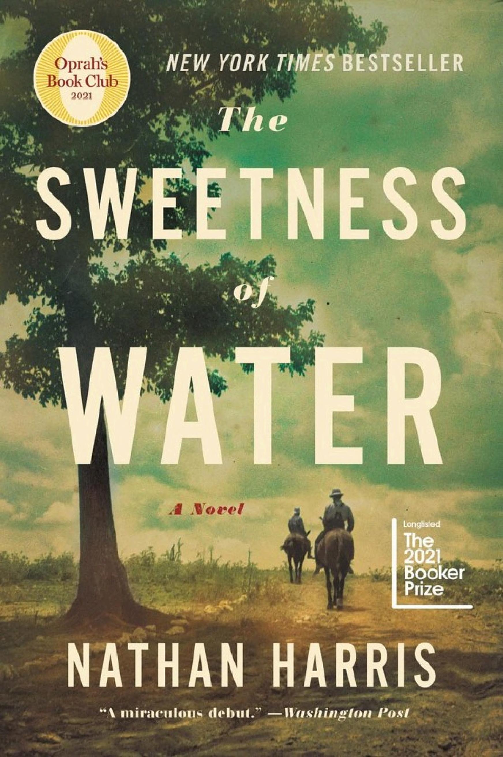 Cover of THE SWEETNESS OF WATER