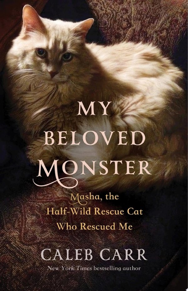 Cover of MY BELOVED MONSTER