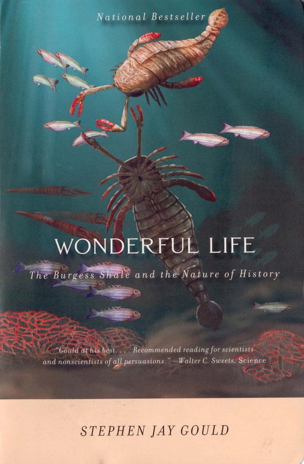 Cover of WONDERFUL LIFE