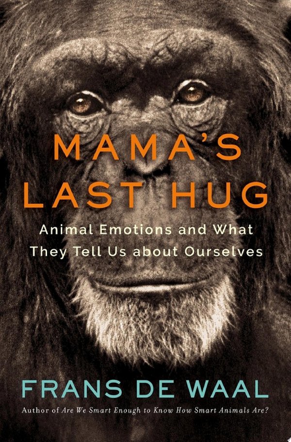 Cover of MAMA'S LAST HUG