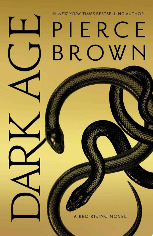 Cover of DARK AGE