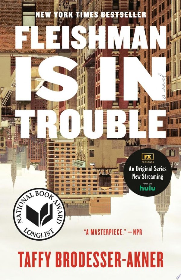 Cover of FLEISHMAN IS IN TROUBLE