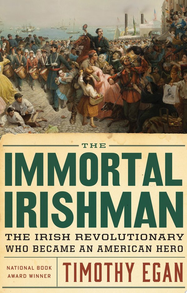 Cover of THE IMMORTAL IRISHMAN