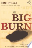 Cover of THE BIG BURN