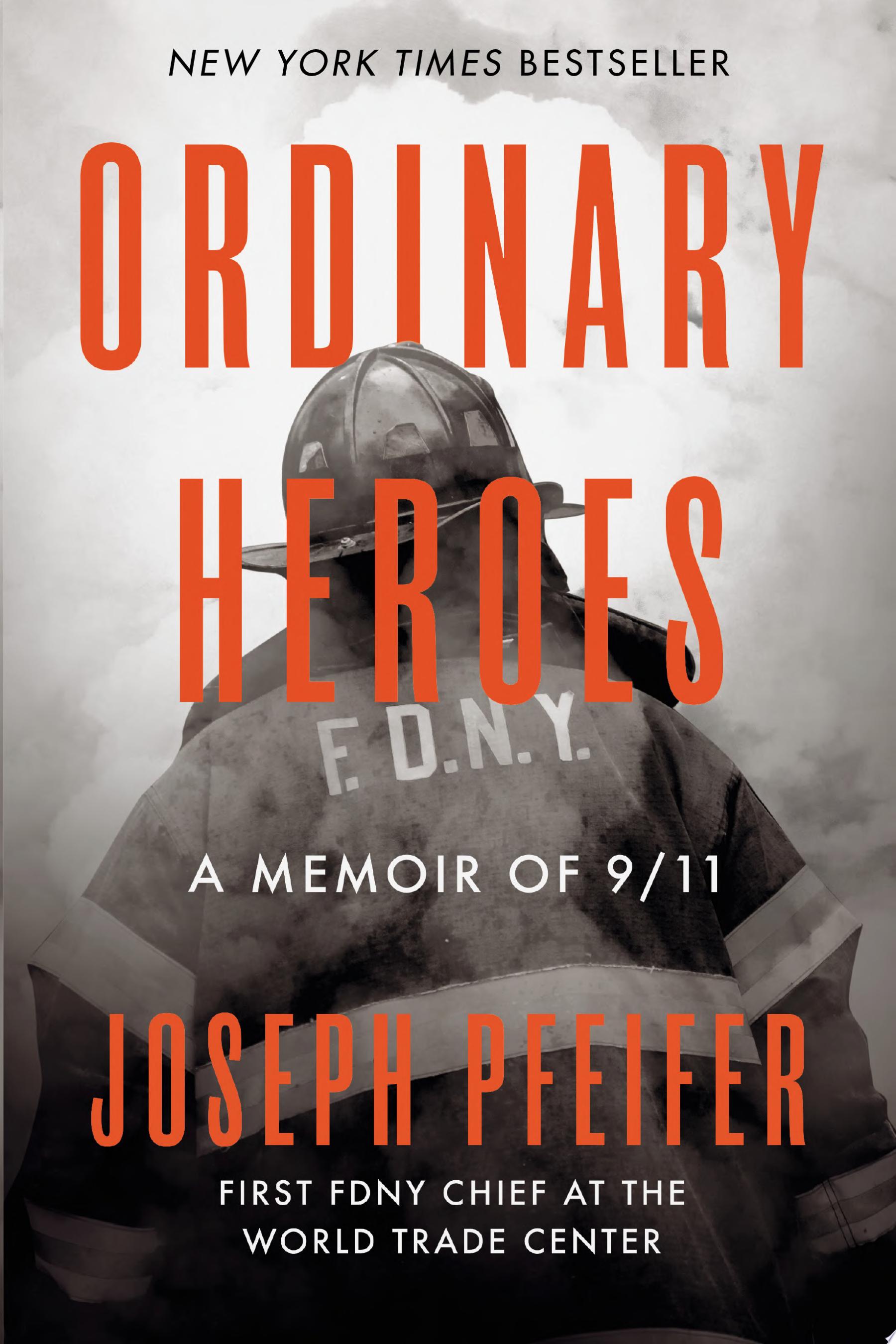 Cover of ORDINARY HEROES