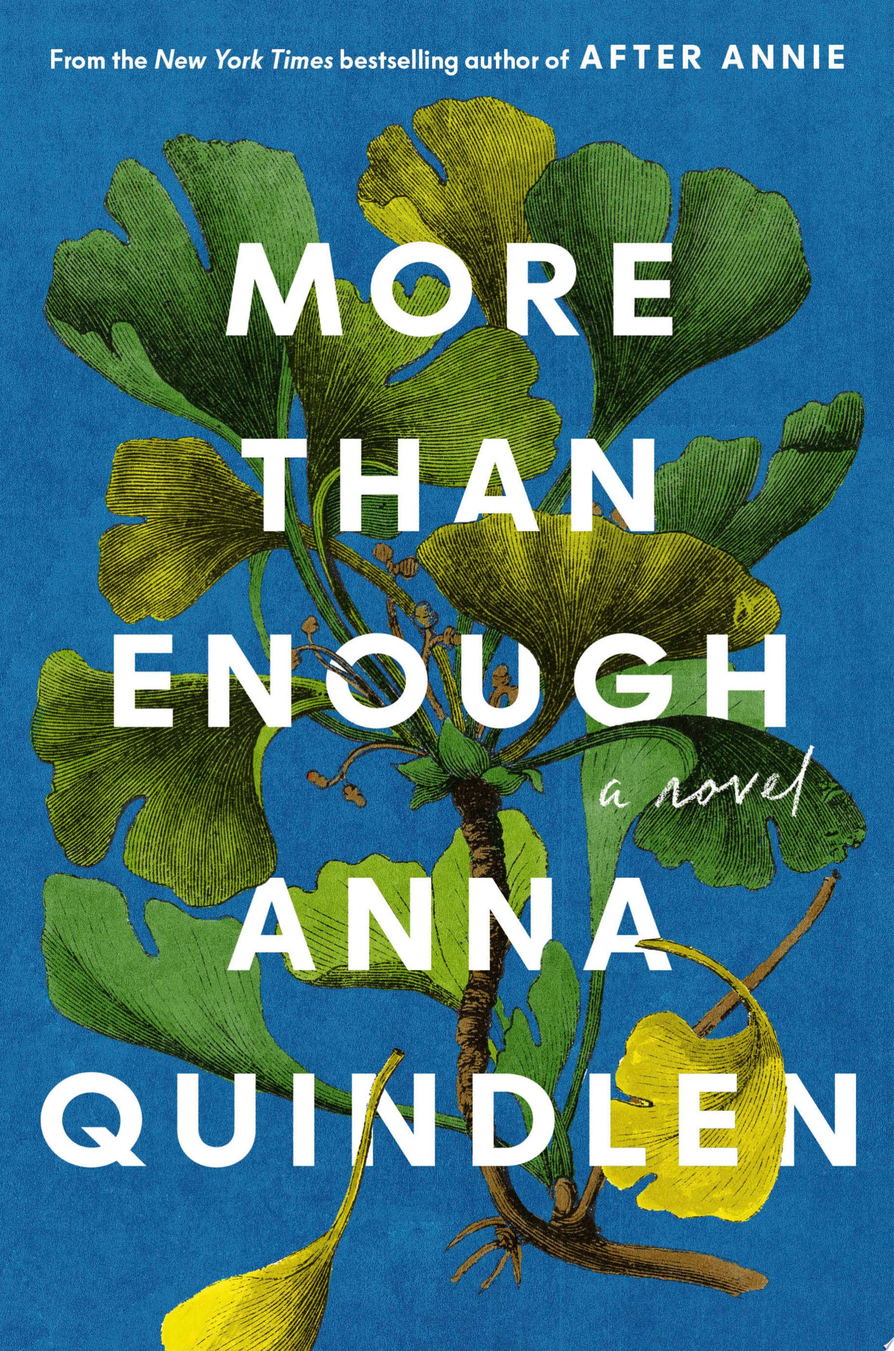 Cover of MORE THAN ENOUGH