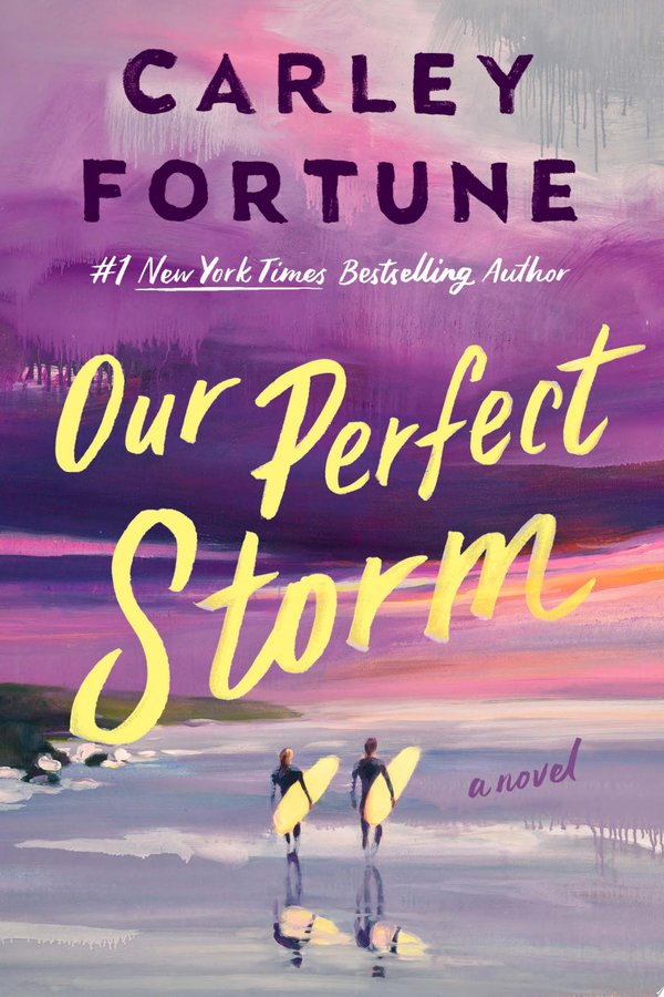 Cover of OUR PERFECT STORM