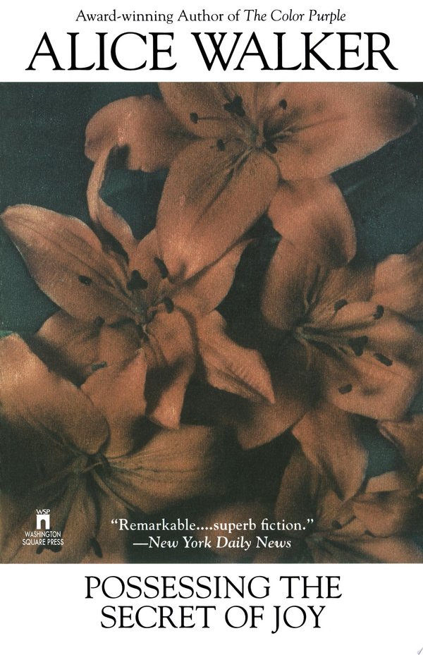 Cover of POSSESSING THE SECRET OF JOY