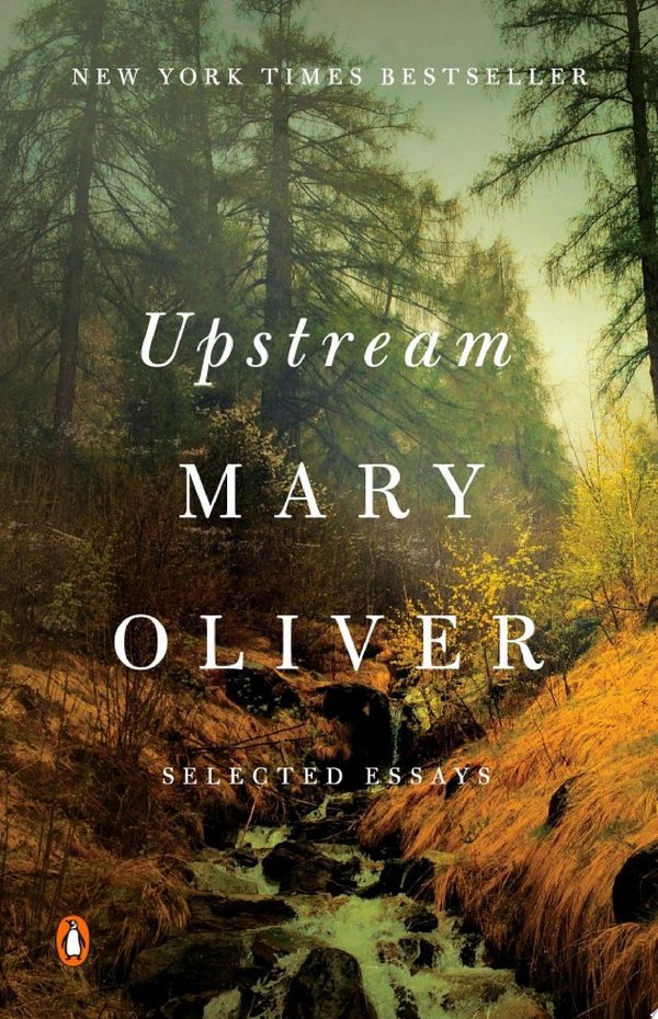Cover of UPSTREAM