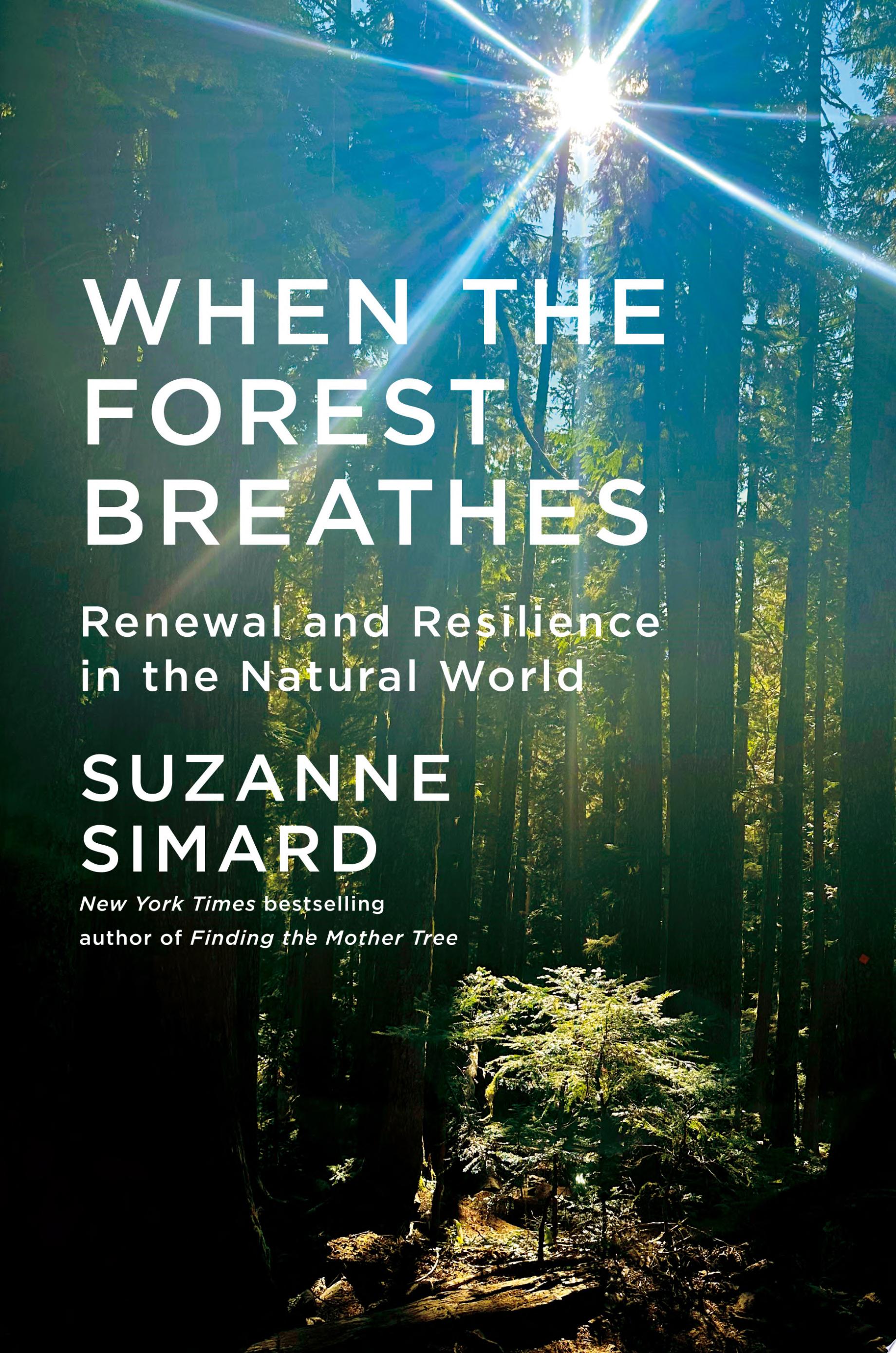 Cover of WHEN THE FOREST BREATHES