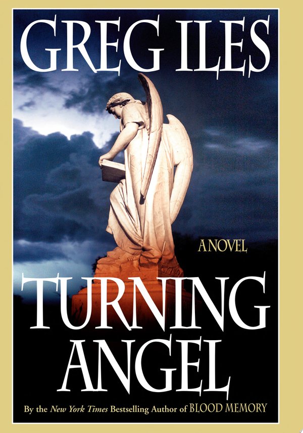 Cover of TURNING ANGEL