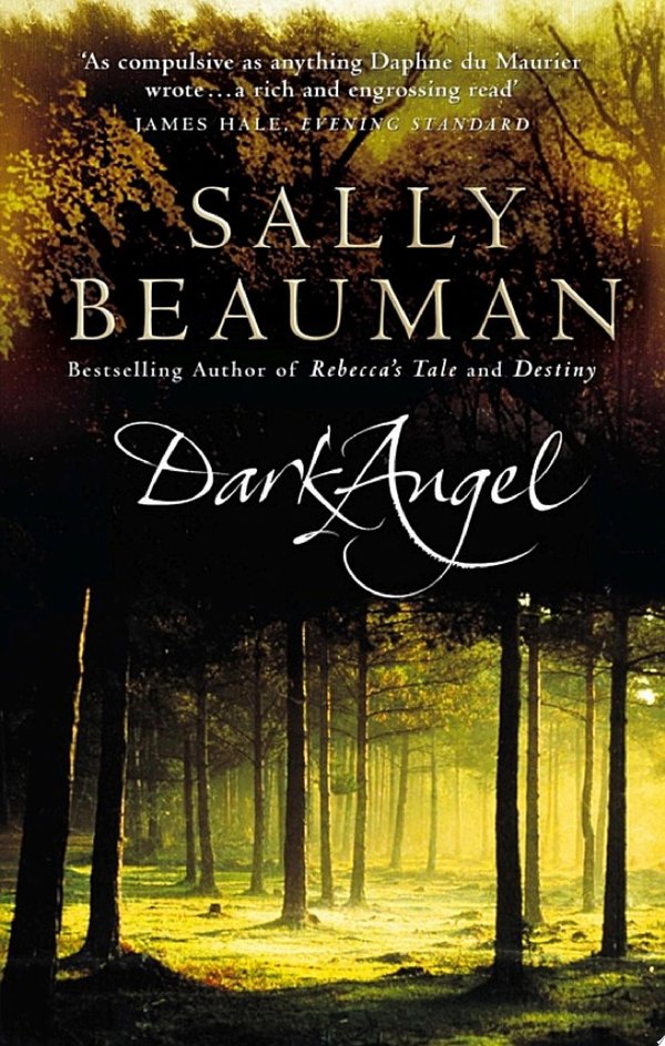 Cover of DARK ANGEL