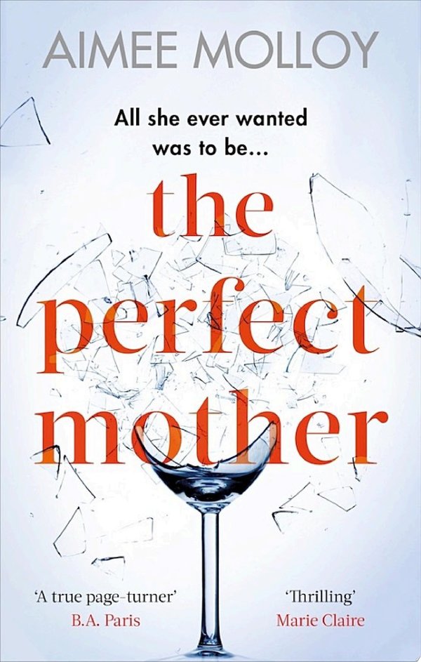 Cover of THE PERFECT MOTHER