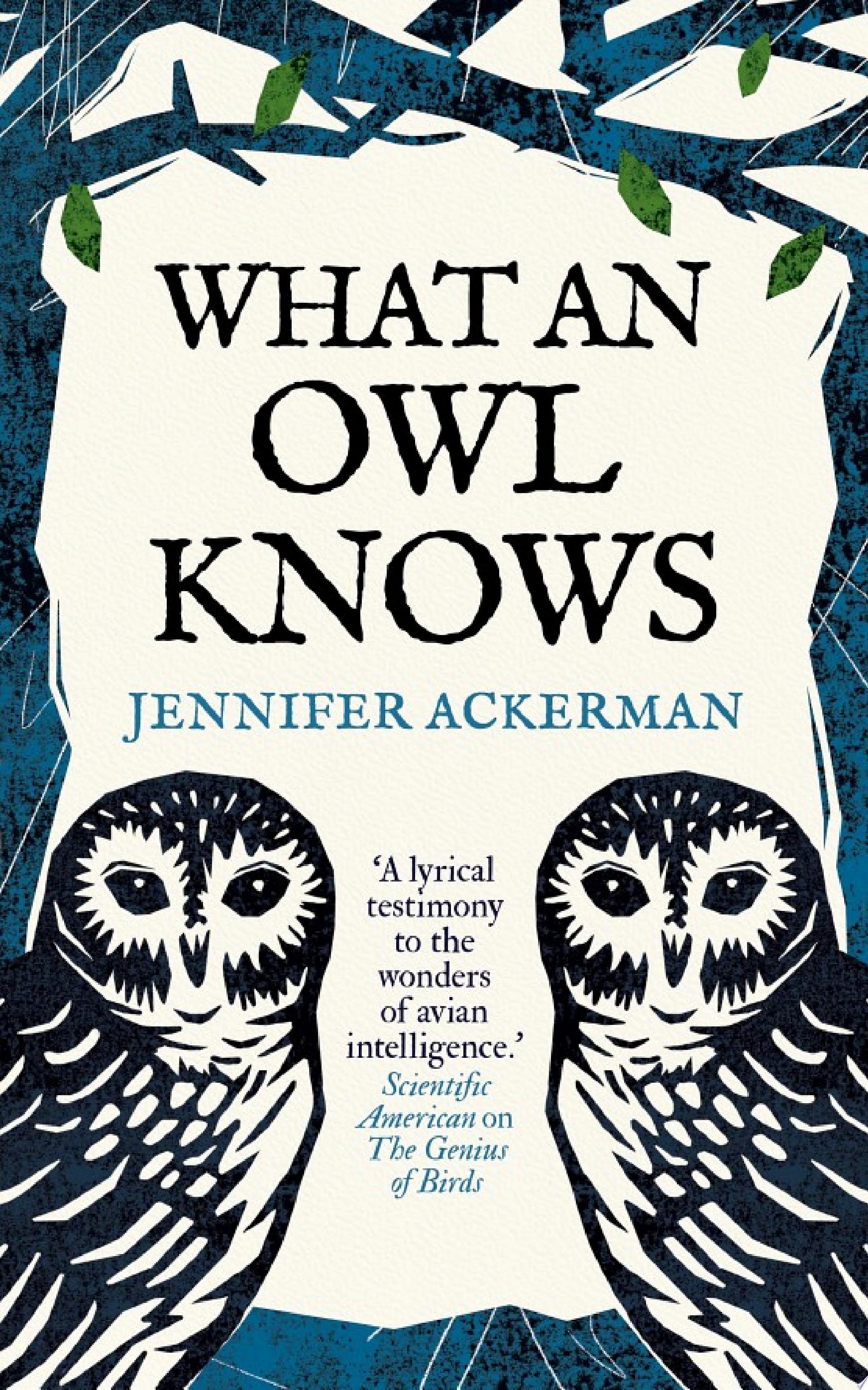 Cover of WHAT AN OWL KNOWS