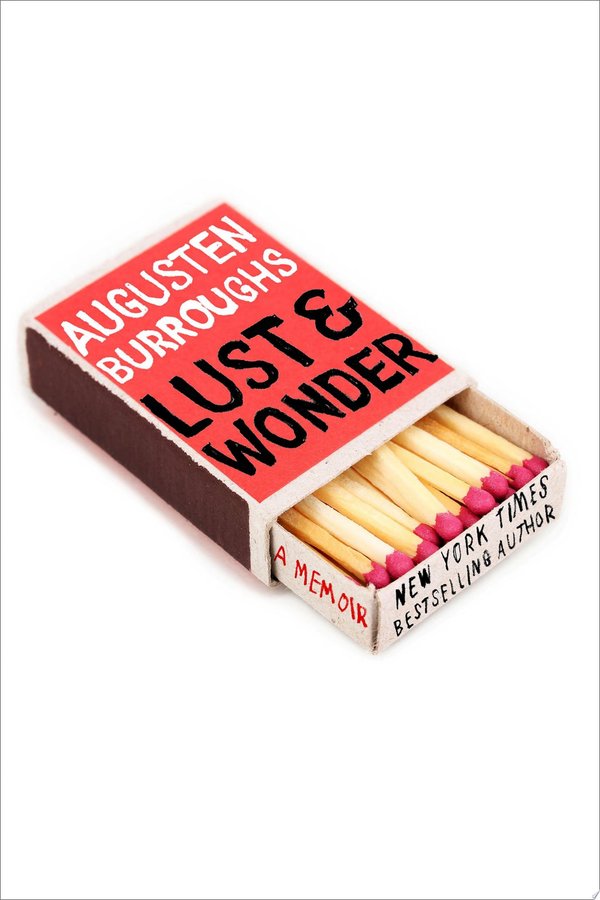 Cover of LUST AND WONDER