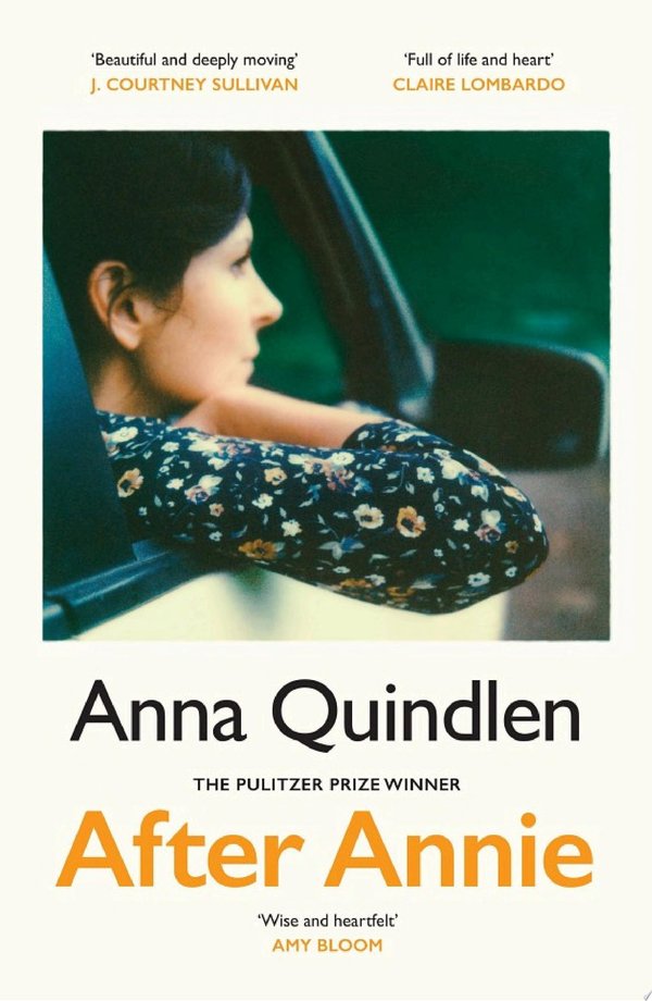 Cover of AFTER ANNIE