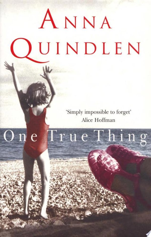 Cover of ONE TRUE THING