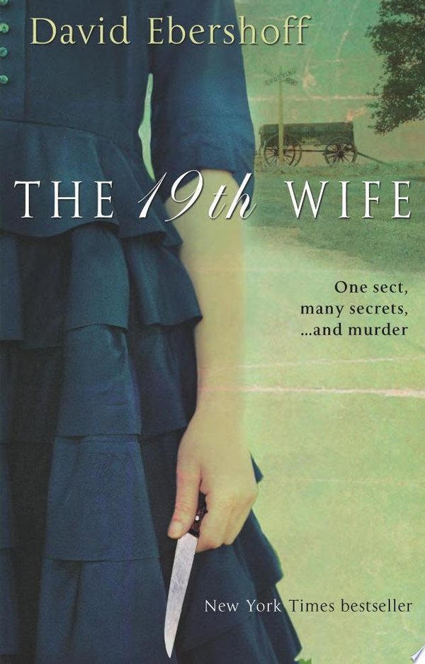 Cover of THE 19TH WIFE