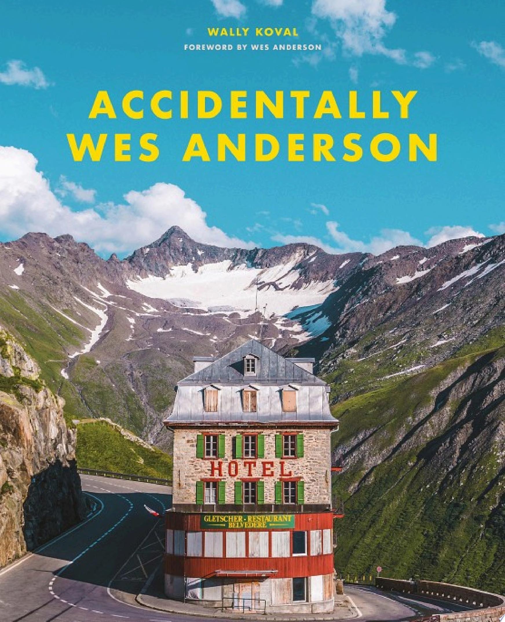 Cover of ACCIDENTALLY WES ANDERSON