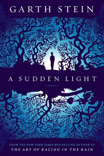 Cover of A SUDDEN LIGHT