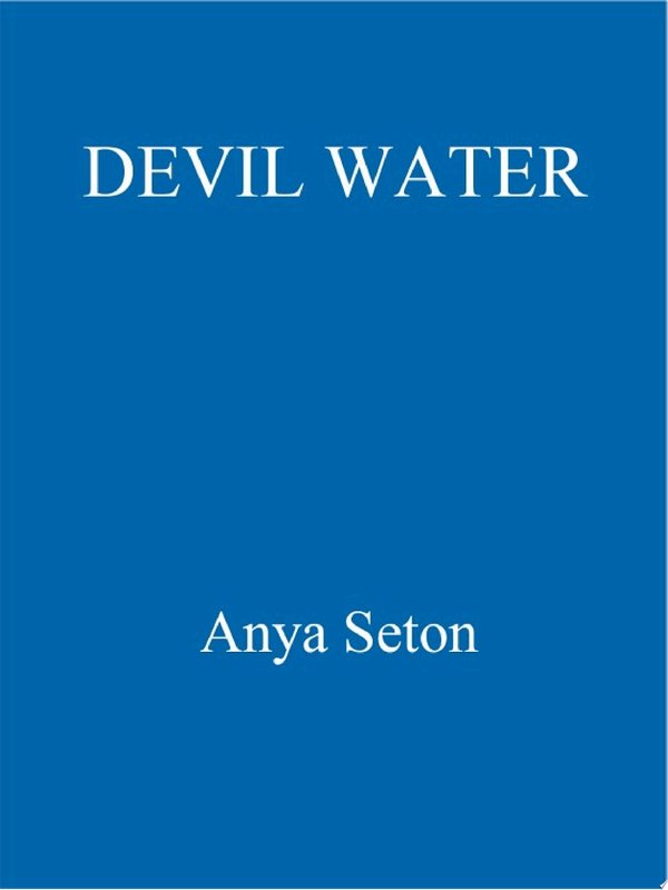 Cover of DEVIL WATER