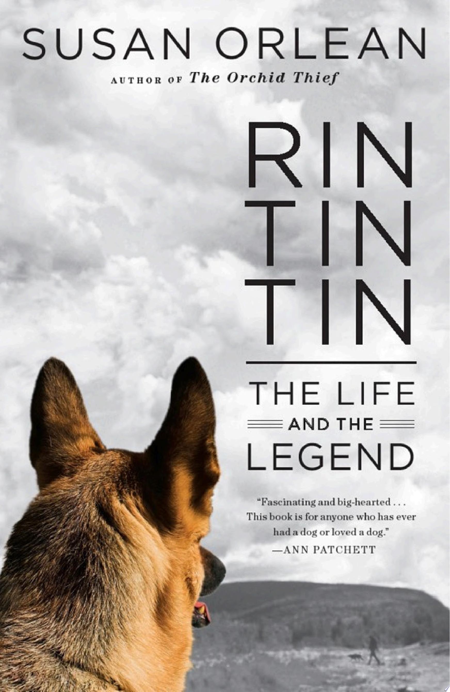 Cover of RIN TIN TIN