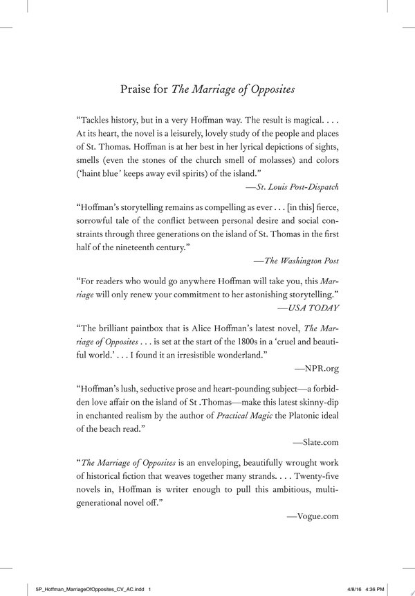 Cover of THE MARRIAGE OF OPPOSITES