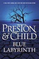 Cover of BLUE LABYRINTH
