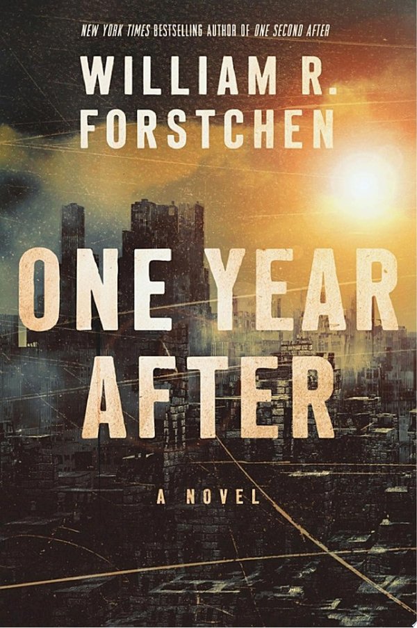 Cover of ONE YEAR AFTER