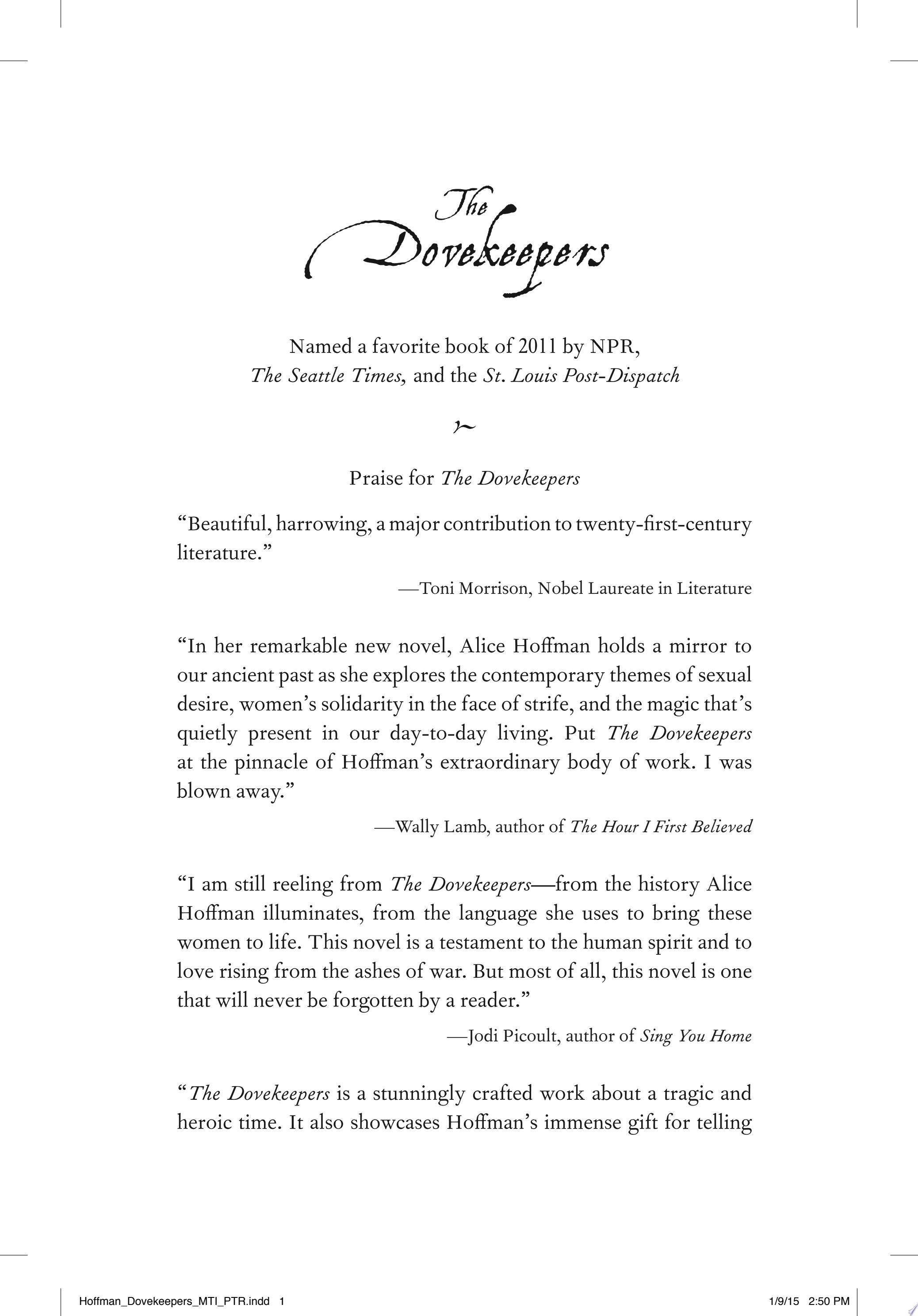 Cover of THE DOVEKEEPERS
