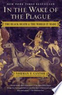 Cover of IN THE WAKE OF THE PLAGUE
