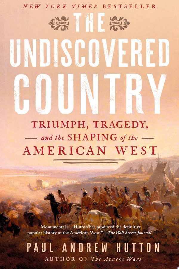 Cover of THE UNDISCOVERED COUNTRY