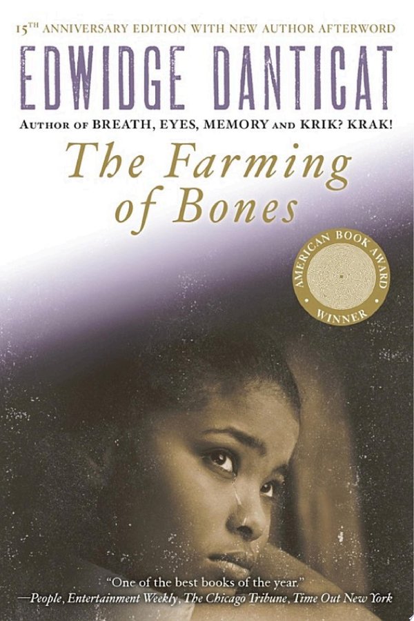 Cover of THE DEW BREAKER
