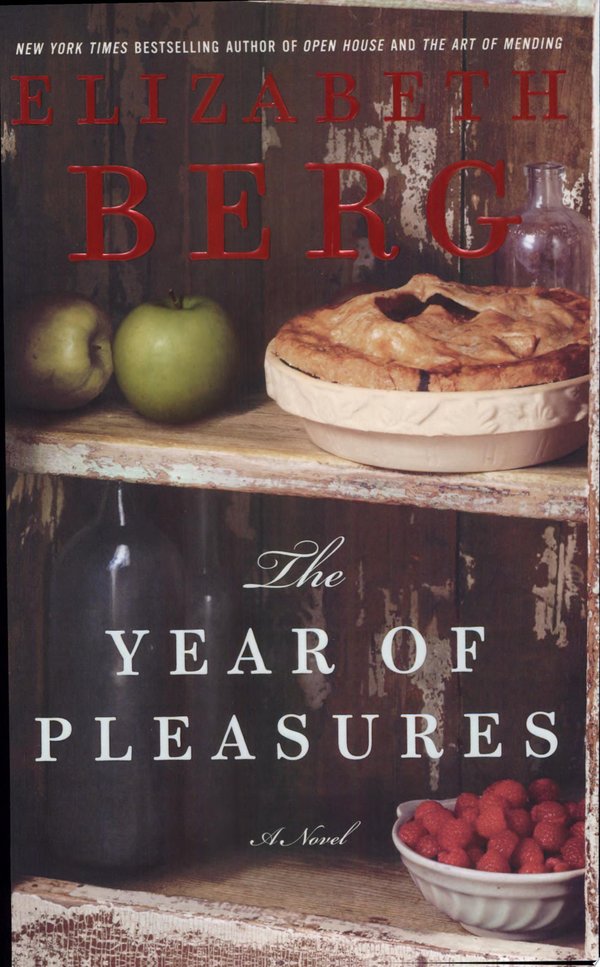 Cover of THE YEAR OF PLEASURES
