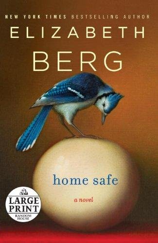 Cover of HOME SAFE