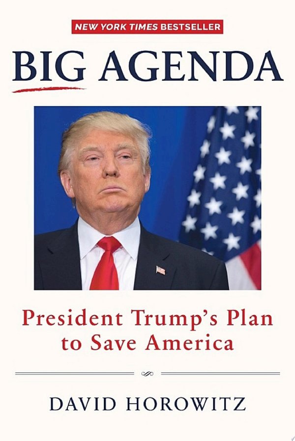 Cover of BIG AGENDA