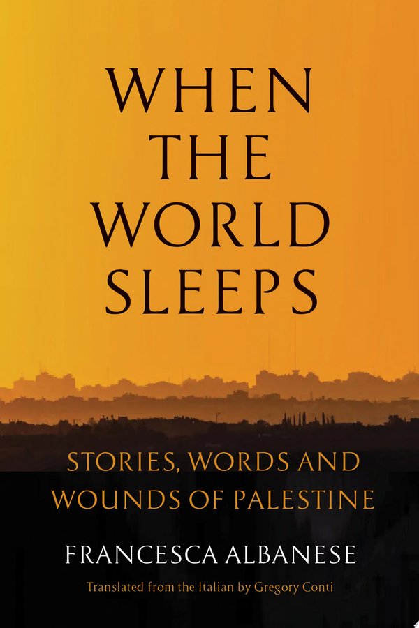 Cover of WHEN THE WORLD SLEEPS