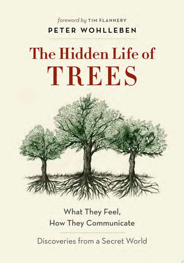 Cover of THE HIDDEN LIFE OF TREES
