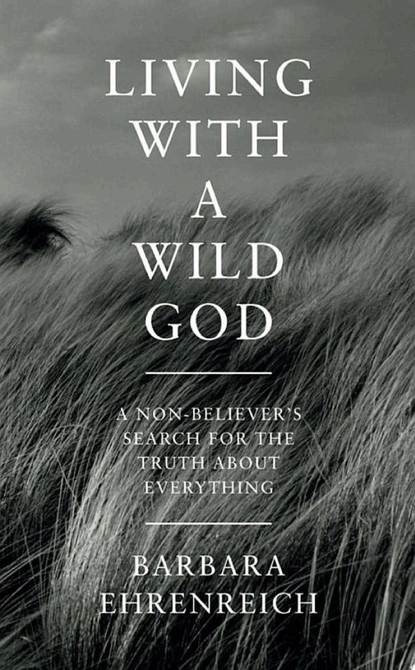 Cover of LIVING WITH A WILD GOD