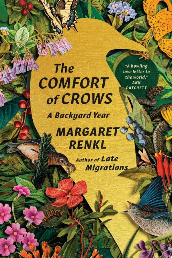 Cover of THE COMFORT OF CROWS