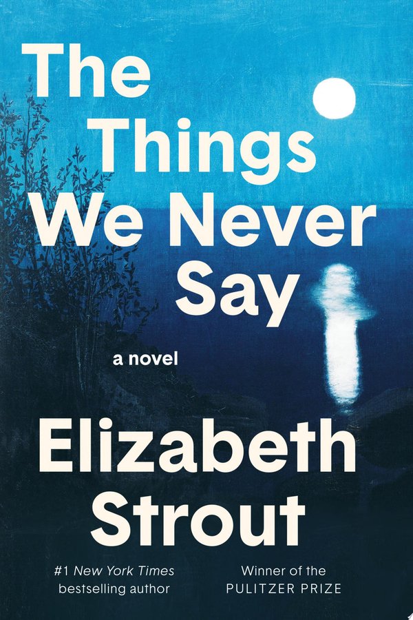 Cover of THE THINGS WE NEVER SAY